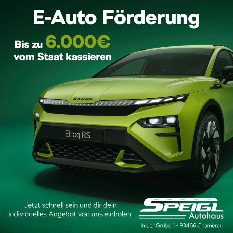 Aktionstag und Chamlandschau-2